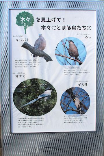 今日は「ソー公園」に行ってきたの。_c0090198_19562321.jpg