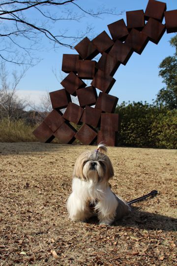 今日は「ソー公園」に行ってきたの。_c0090198_19563782.jpg