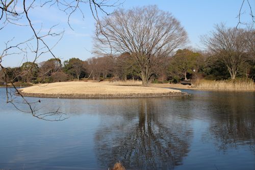 今日は「ソー公園」に行ってきたの。_c0090198_1957413.jpg