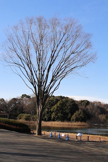 今日は「ソー公園」に行ってきたの。_c0090198_19575266.jpg