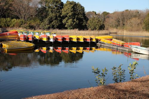 今日は「ソー公園」に行ってきたの。_c0090198_19595532.jpg
