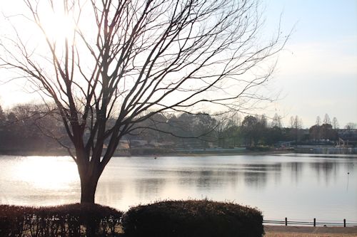 今日は「ソー公園」に行ってきたの。_c0090198_2044681.jpg