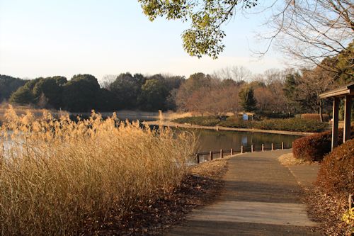 今日は「ソー公園」に行ってきたの。_c0090198_2054311.jpg