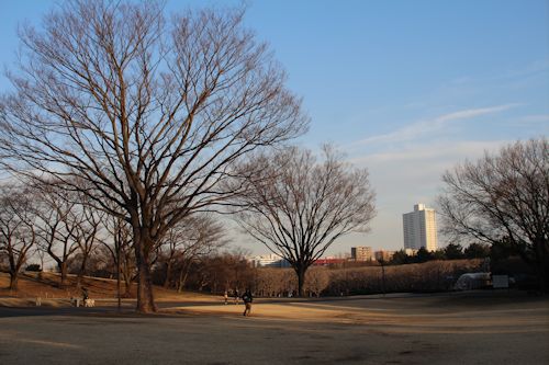 今日は「ソー公園」に行ってきたの。_c0090198_2063117.jpg