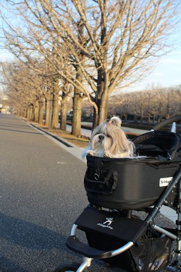 今日は「ソー公園」に行ってきたの。_c0090198_2073999.jpg