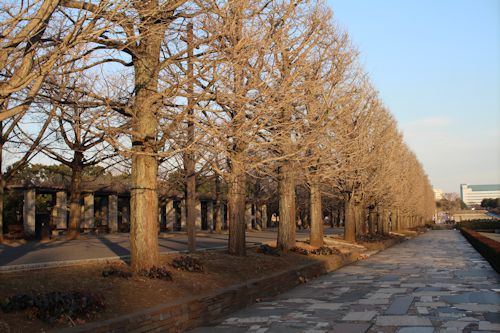 今日は「ソー公園」に行ってきたの。_c0090198_2075458.jpg