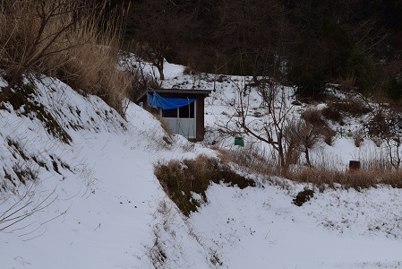 c0187298_2282447.jpg