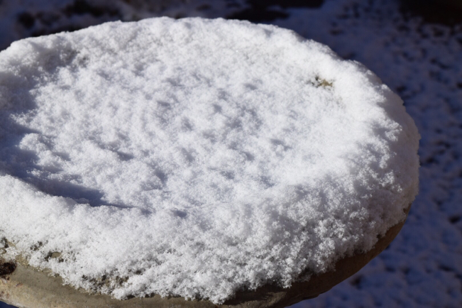 雪の日の素敵な出来事。。。突然、日時計現る〜あの落し物の犯人は？！_e0346002_11522711.jpg