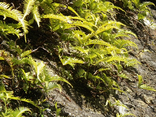 f0187402_223998.jpg