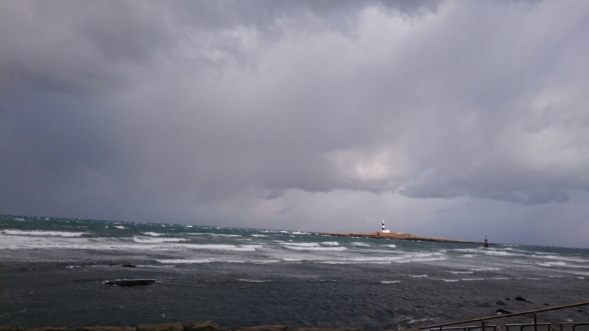 d0149105_953716.jpg