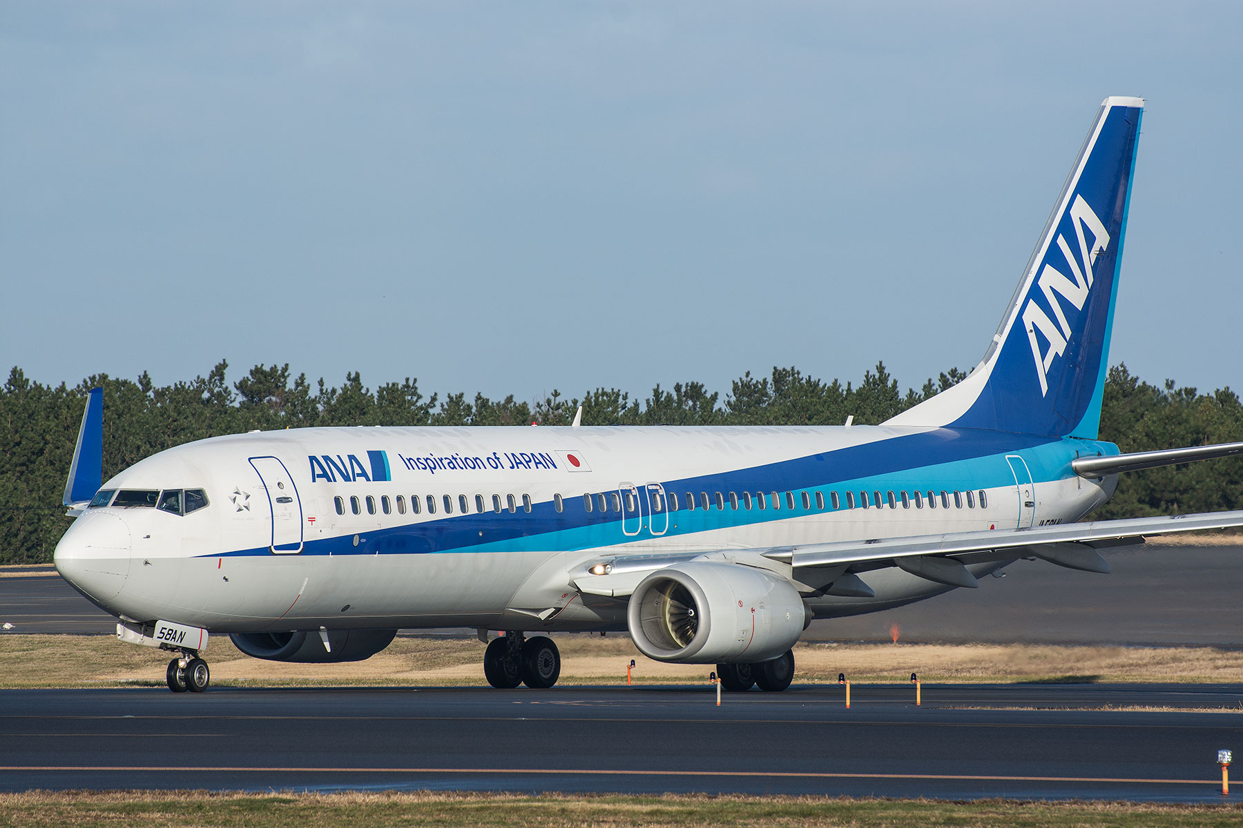 BOEING 737-800 / JA58AN : SKY LOUNGE GARDEN -transporter side-