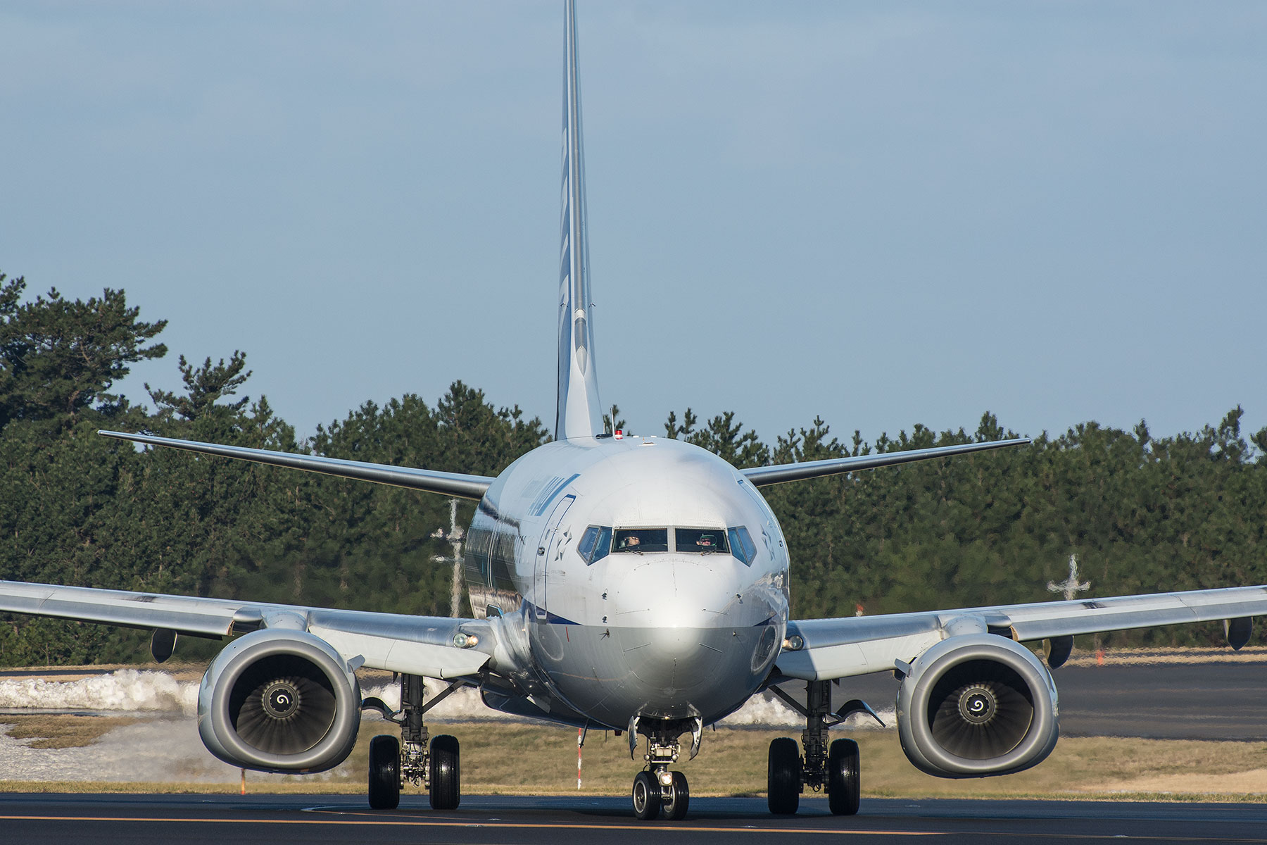 BOEING 737-800 / JA58AN : SKY LOUNGE GARDEN -transporter side-