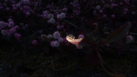 f0324510_02361391.jpg