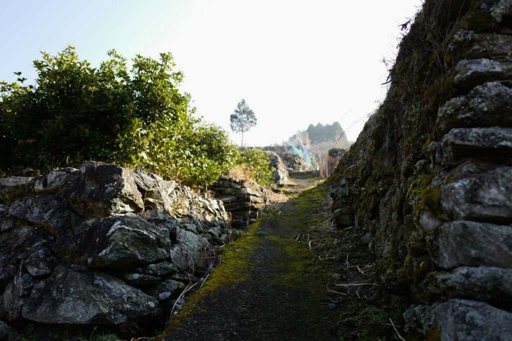 f0365212_21205015.jpg