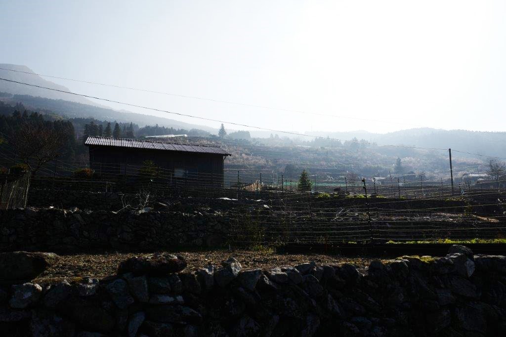 f0365212_21205808.jpg