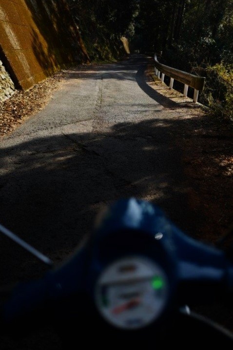 f0365212_21211333.jpg