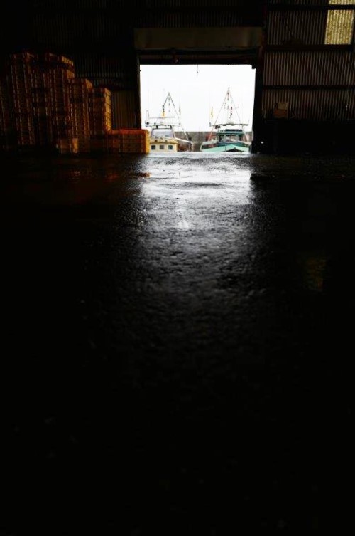 f0365212_21213485.jpg