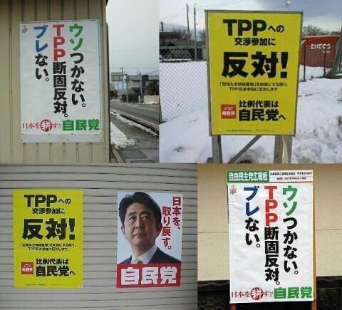「TPPの行方」_a0120513_23563920.jpg