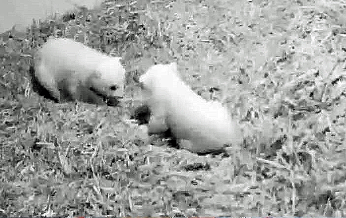 a0151913_1424546.jpg