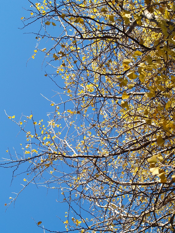 c0202113_2133332.jpg