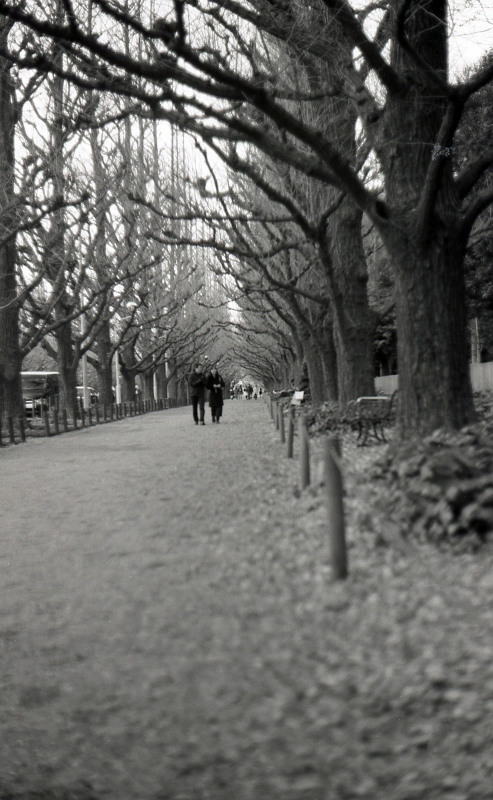 d0339617_10194142.jpg
