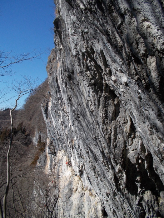 b0037220_23223202.jpg