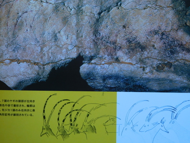 世界遺産 ラスコー展 国立科学博物館_e0345320_14340236.jpg