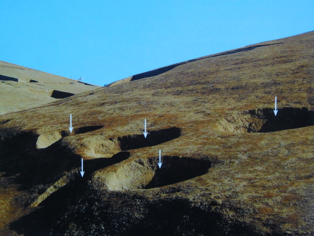 世界遺産 ラスコー展 国立科学博物館_e0345320_15073777.jpg