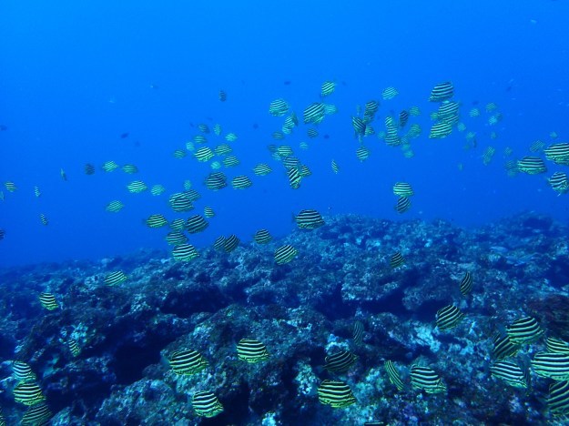 c0115421_21023283.jpg