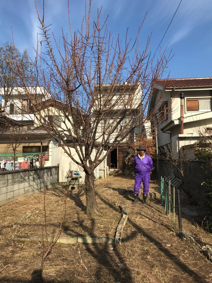 山があっても山梨県_c0058727_2185624.jpg