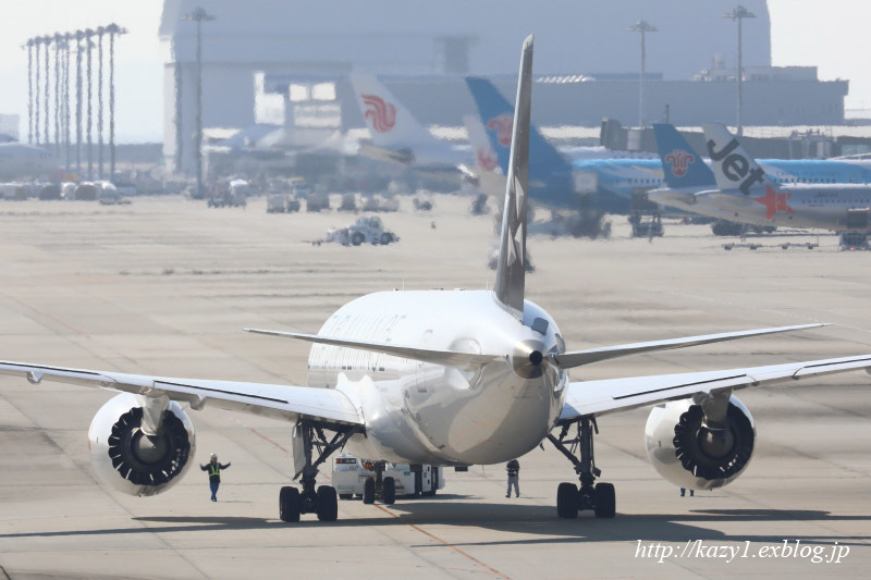 今日はココでした　～特別な787を求めて関空へ～_d0227332_21100336.jpg