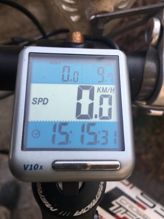 猫・自転車・猫〜春の気配_b0060239_21454950.jpg