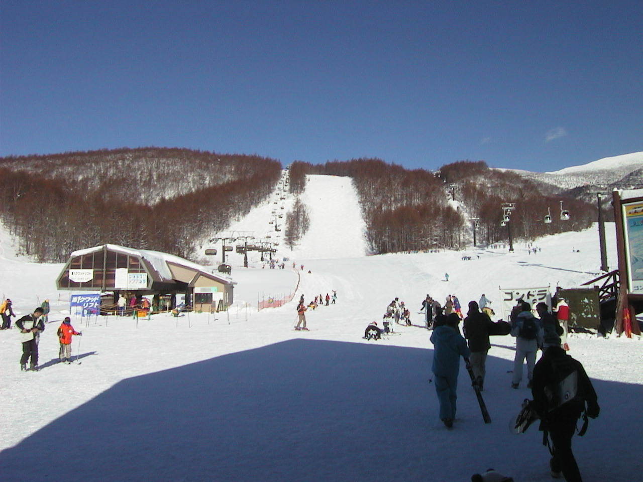 d0013739_09395200.jpg