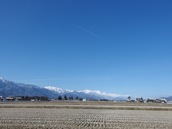 a0014840_2149403.jpg