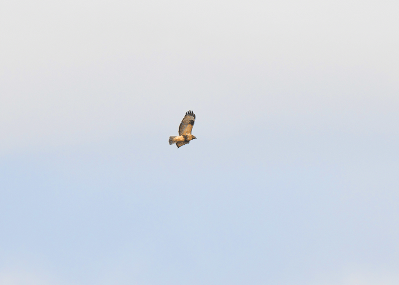 d0290240_19205280.gif
