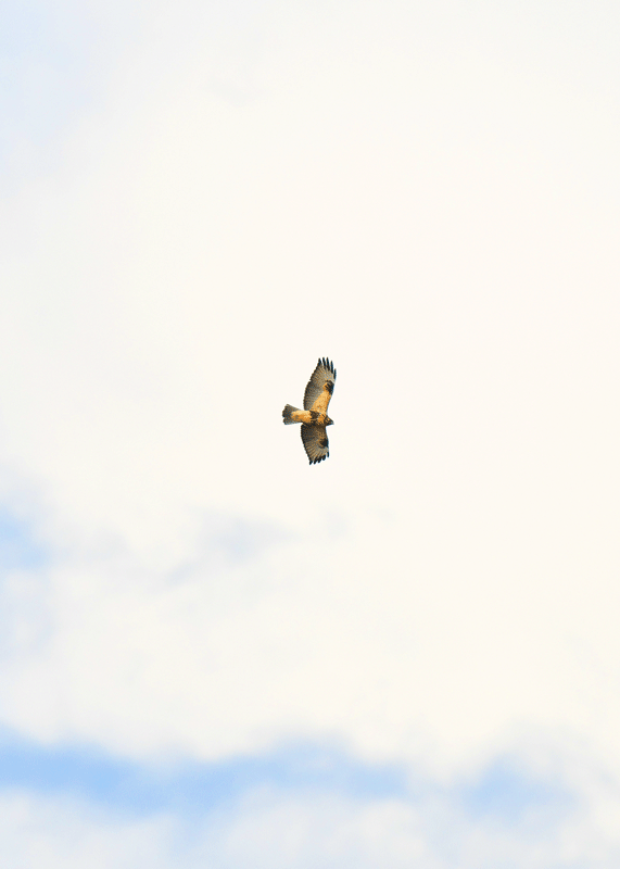 d0290240_19215924.gif