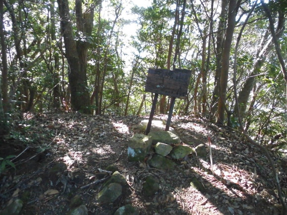 a0206345_17113118.jpg