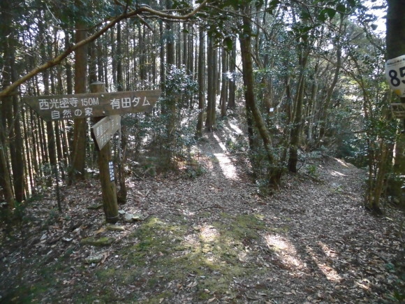 a0206345_17290036.jpg