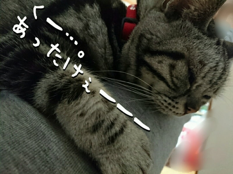 f0378646_16393769.jpg