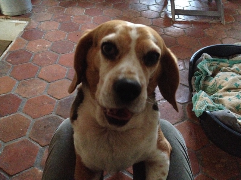b0069848_06474711.jpeg