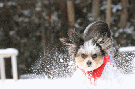 c0145250_09321013.gif