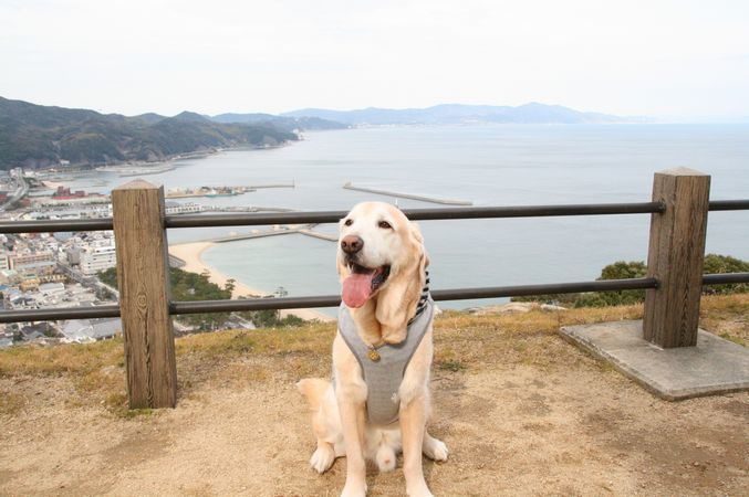 淡路島出張_e0364854_10590272.jpg