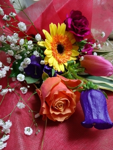 a0164657_23440781.jpg