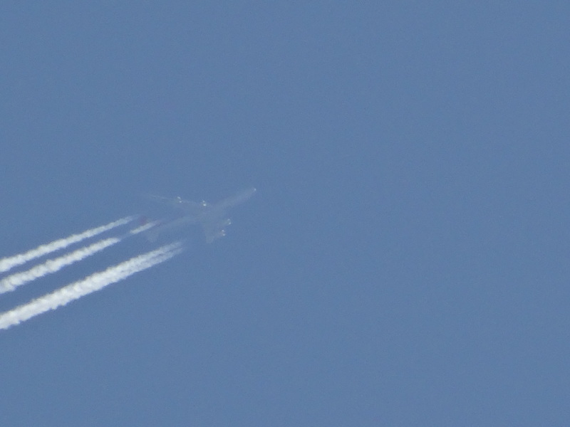 c0108460_16541050.jpg