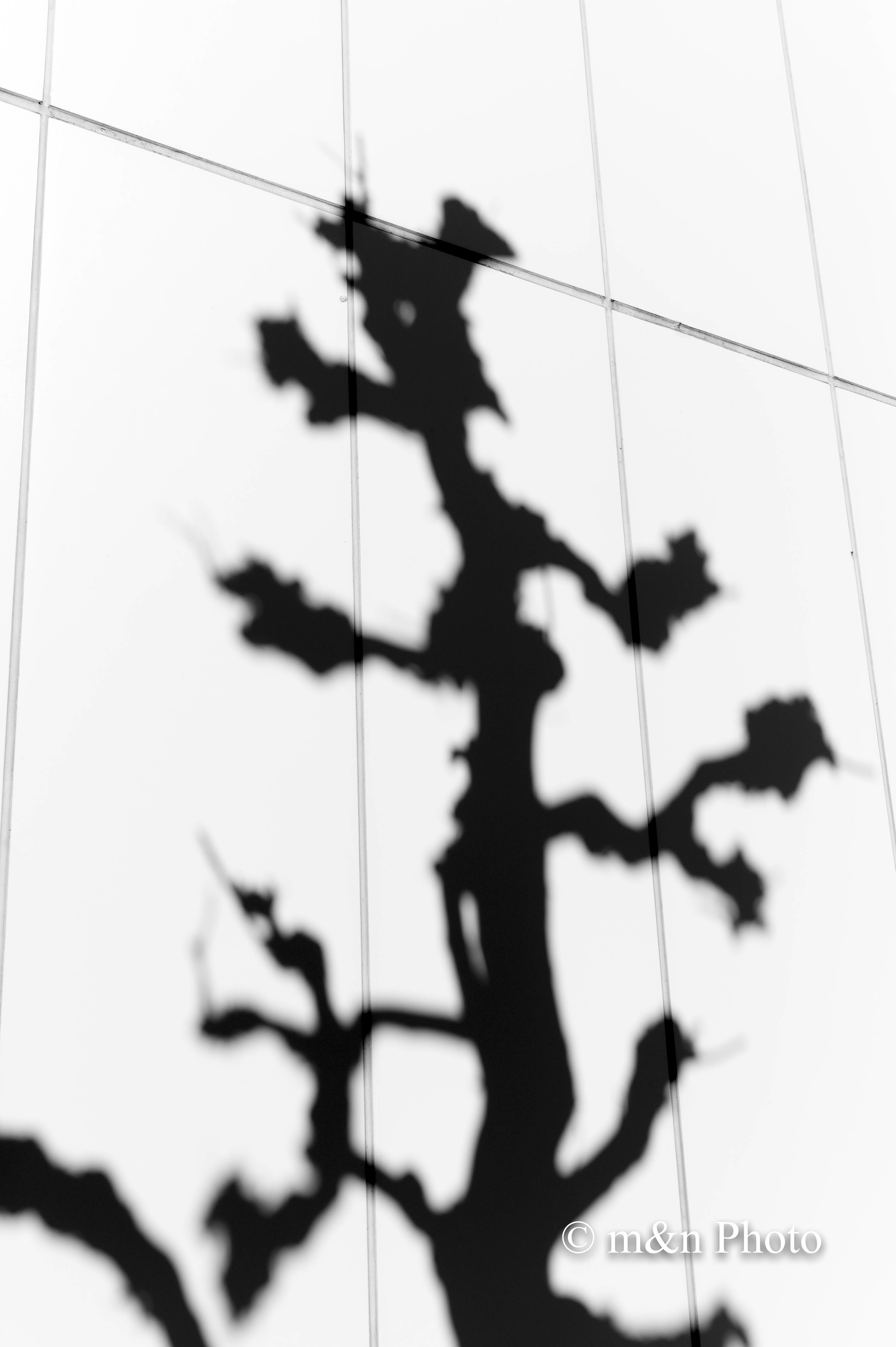 e0321360_14292985.jpg