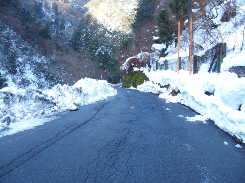 f0327061_13495527.jpg