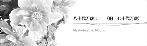 a0331562_21171147.png