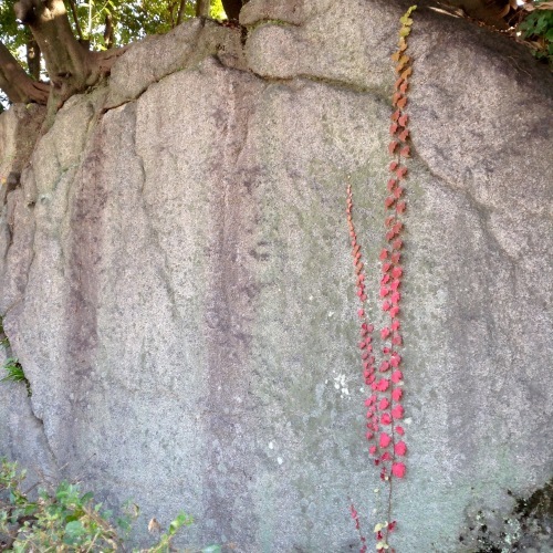 旧暦元旦 豊国神社 おもしろ市_b0153663_13595941.jpeg