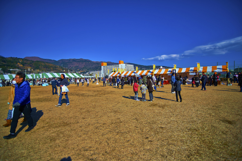 d0175768_21315213.jpg