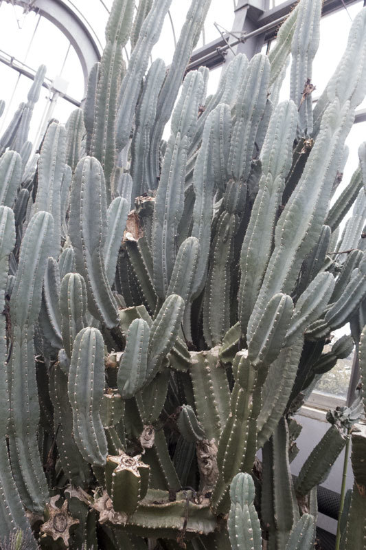 f0052971_00502703.jpg